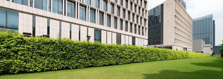 unohacha_20170309111408